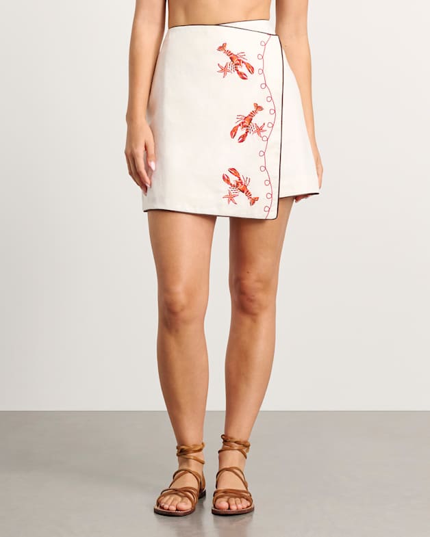 Mini skirt embroidered shop