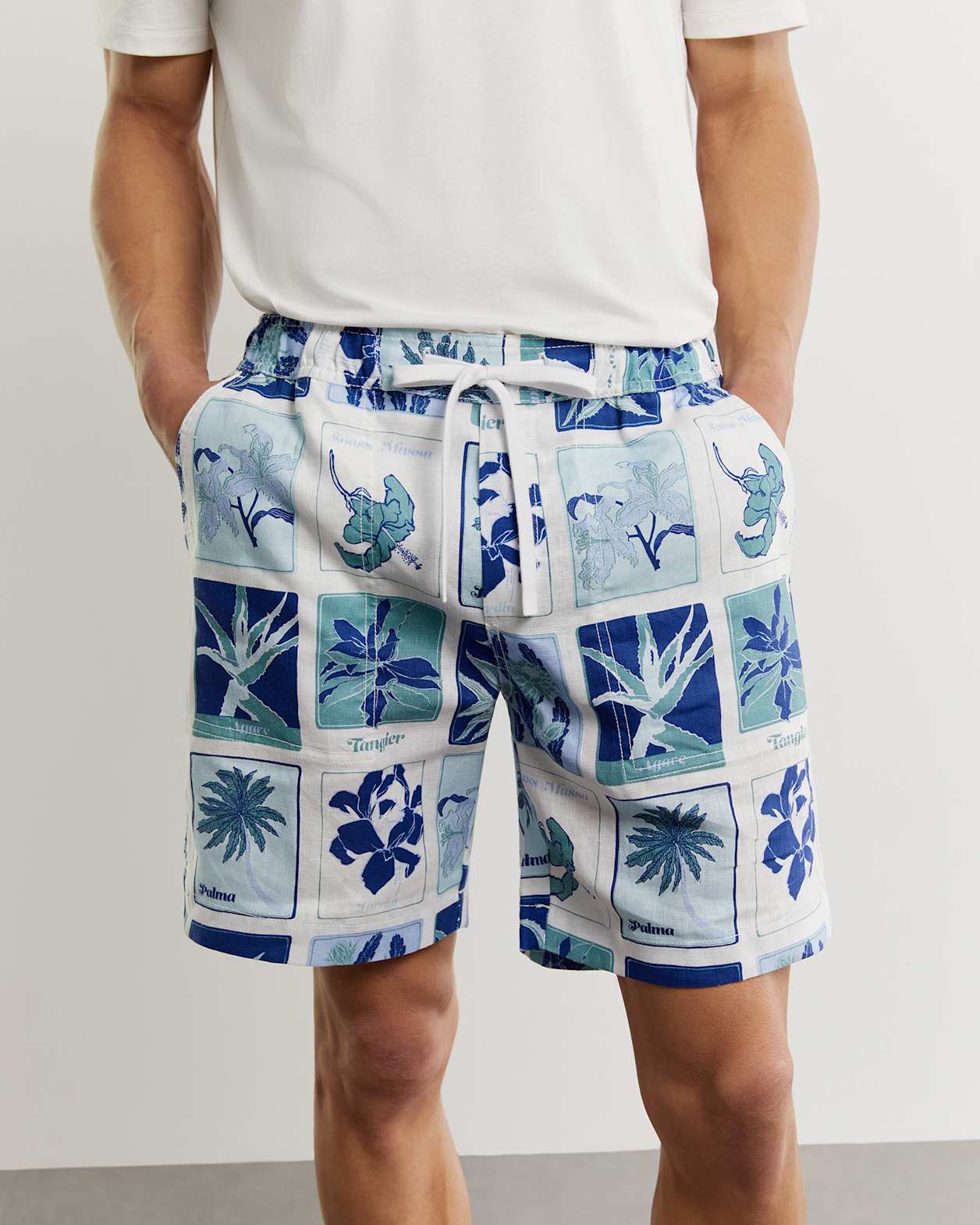 Noah Linen Postcard Short in BLUE MULTI