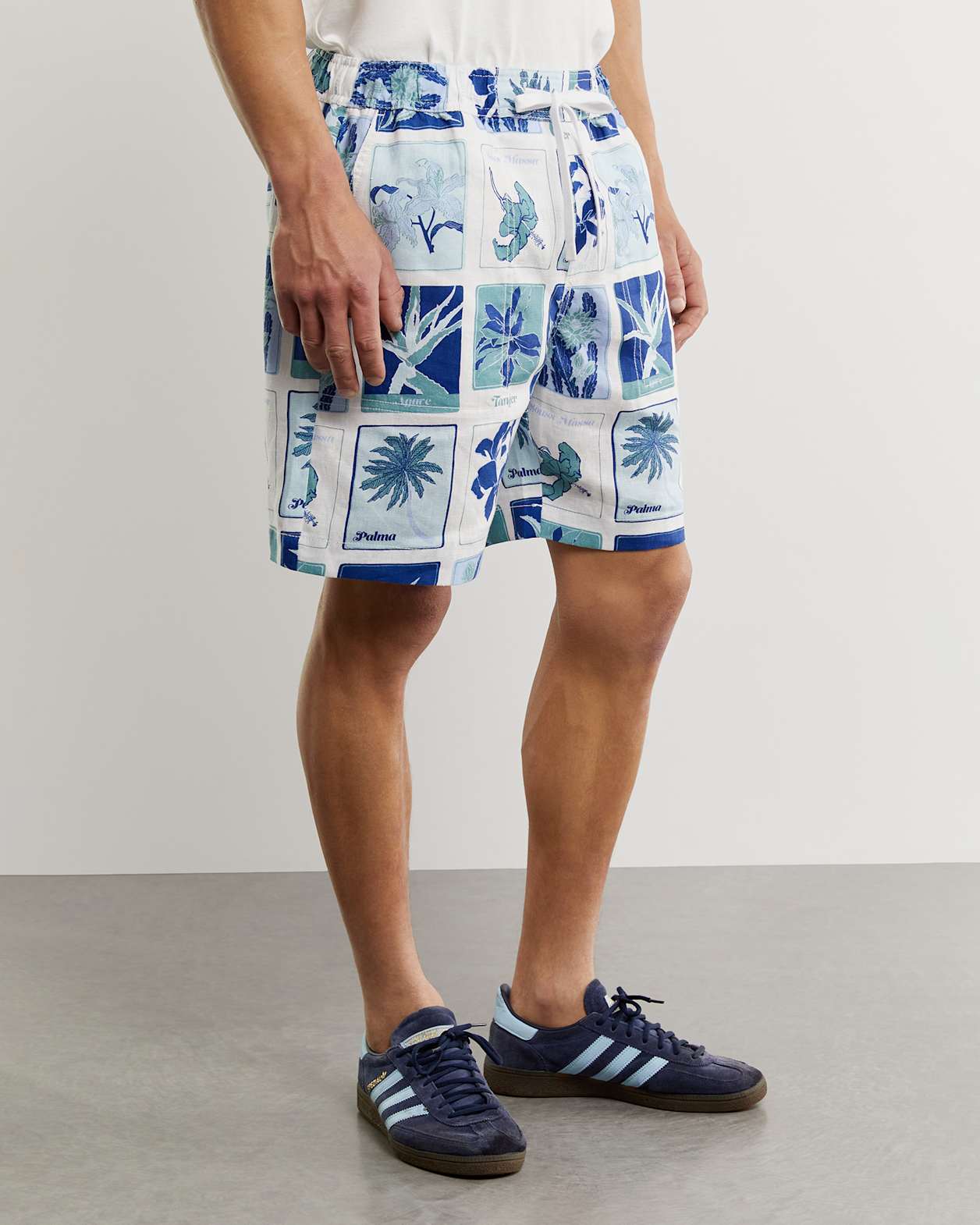 Noah Linen Postcard Short in BLUE MULTI
