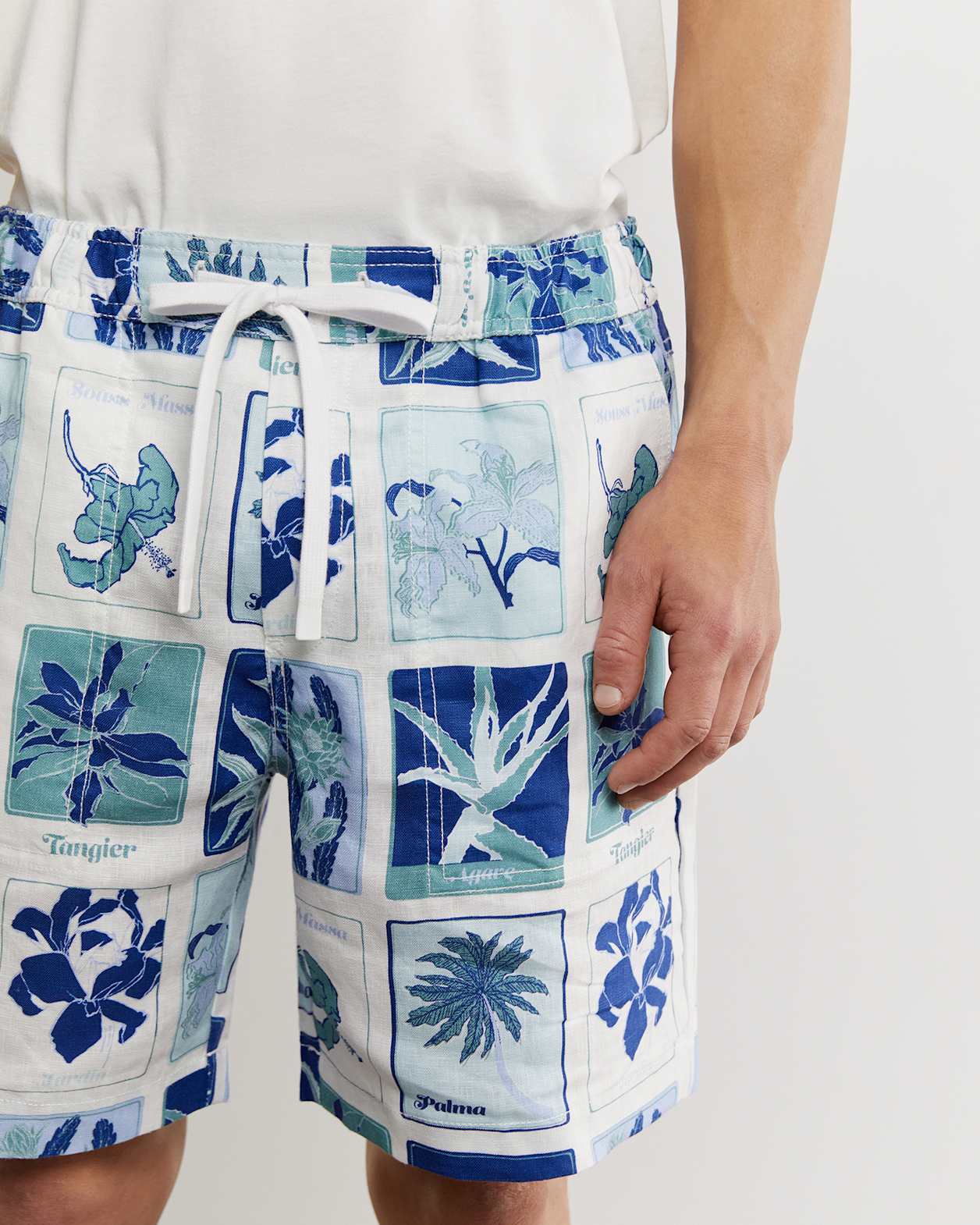 Noah Linen Postcard Short in BLUE MULTI