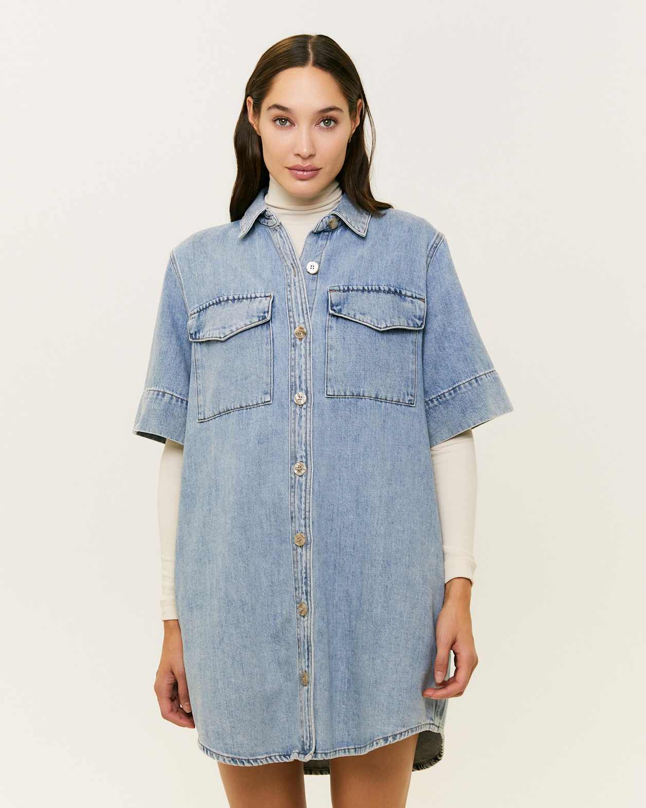 Billie Denim Dress in BANDIT WASH