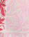 PINK MULTI